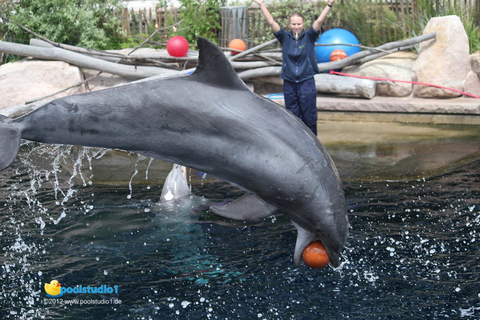 Zoo Nürnberg